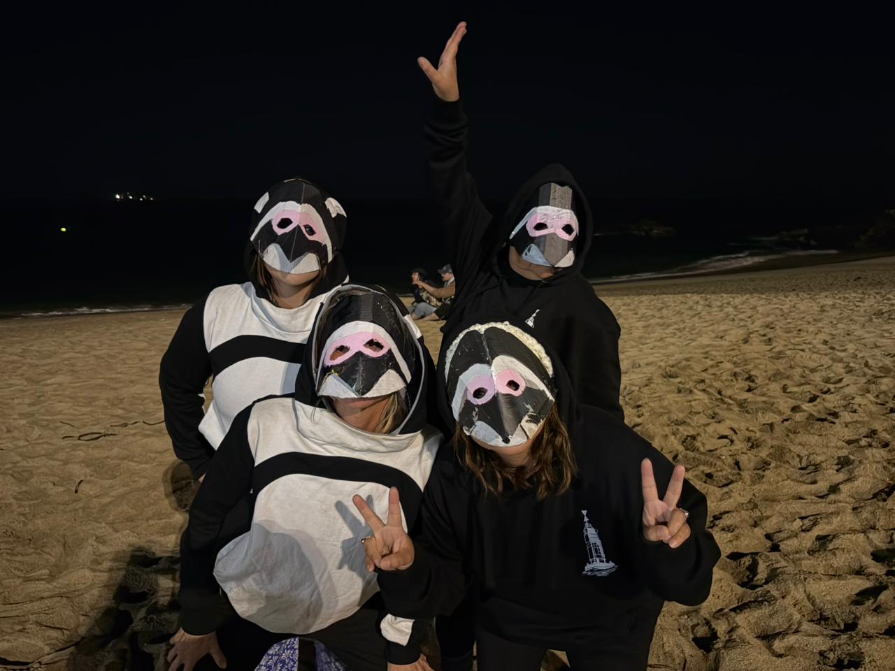 Pingüinitas en la playa
