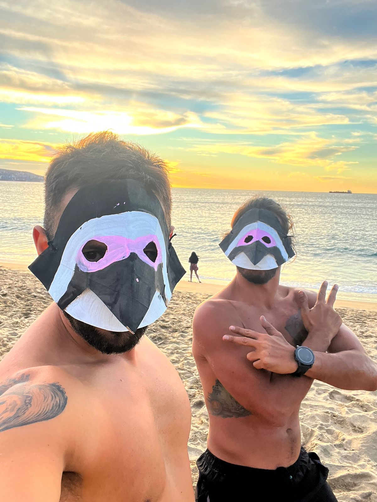 Pingüinos guerreros